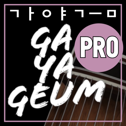 Gayageum_12Str Pro