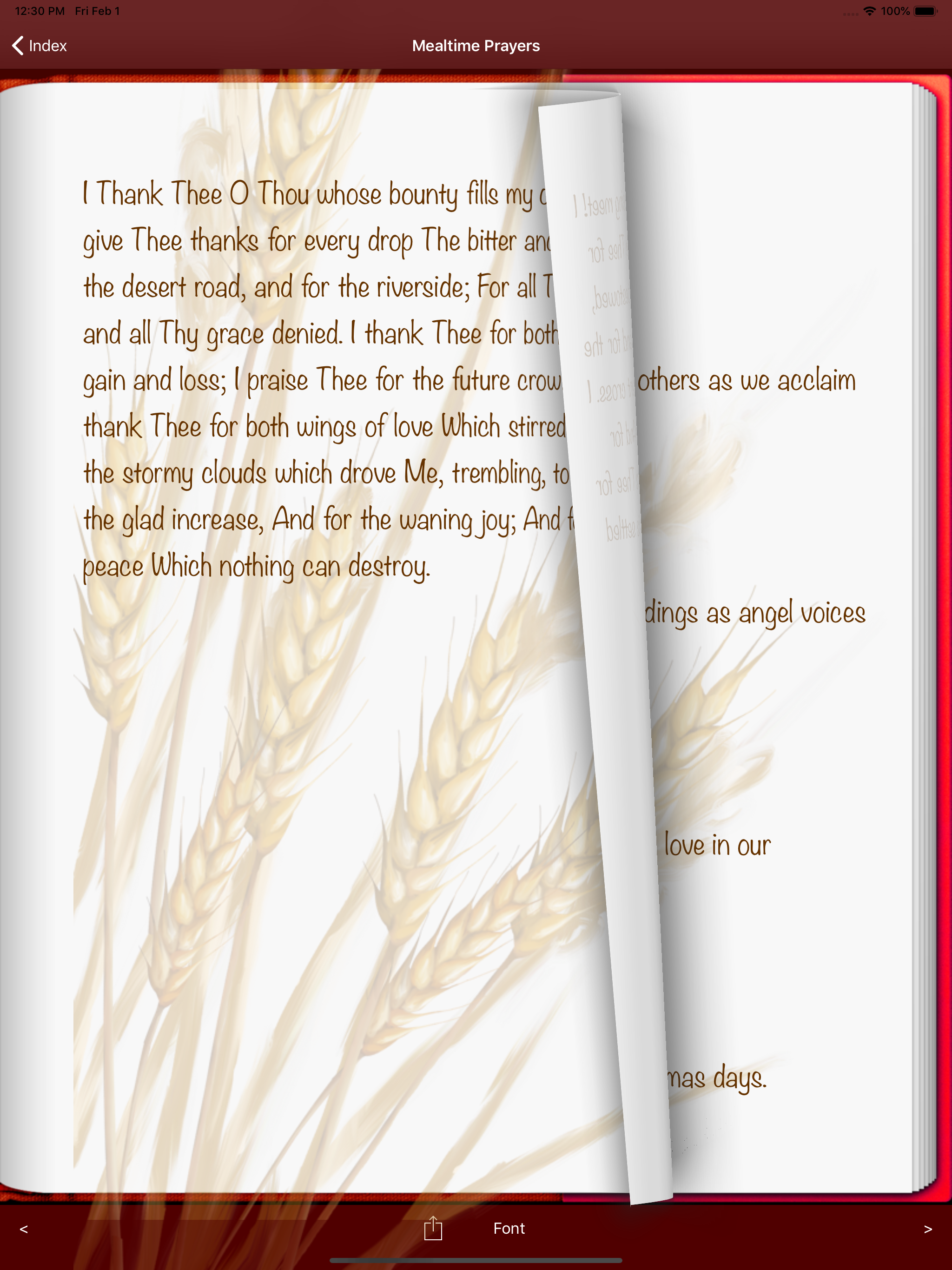 Mealtime Prayers screenshot 8