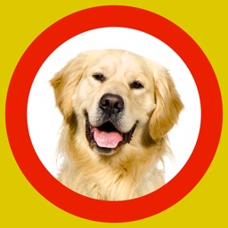 Exposition canine 360x