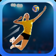 Fine Volleyball