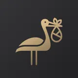 Nameo - Baby Name Finder - App Icon