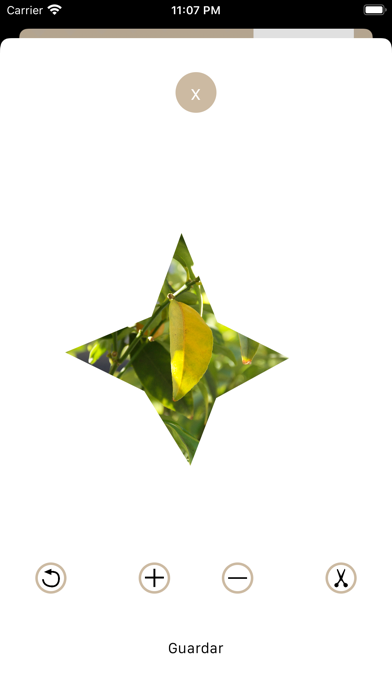 Screenshot #3 pour Simple Cut - Recadrage