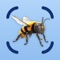 Explore the intriguing world of bugs with BugCam