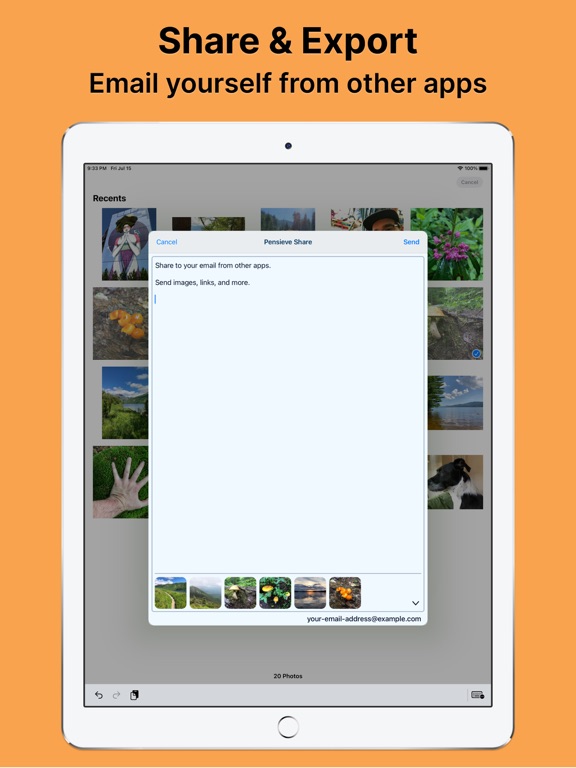 Pensieve: Email Me Notes iPad screenshot 6 - Productivity app