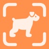 Dog Breed Identifier - ScanDog icon