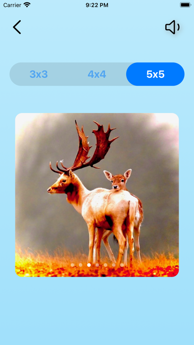 FunPuzzle21 Screenshot