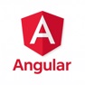 Get Learn Angular [PRO] for iOS, iPhone, iPad Aso Report