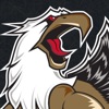 Grand Rapids Griffins icon