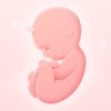 My Pregnancy | Tracker & App icon