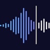 Voice Recorder - Easy Memos icon