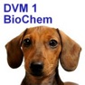 Get DVM 1st Year Biochemistry for iOS, iPhone, iPad Aso Report