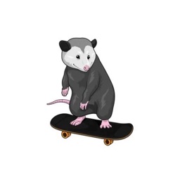 Skateboarding Opossum Stickers