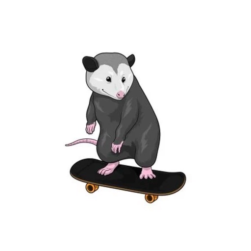 Skateboarding Opossum Stickers icon