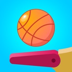 Flipper Dunk