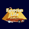 Egyptian Life - Amin Elnady