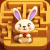 LexIconLabiry icon