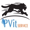 Pvit Mobile icon