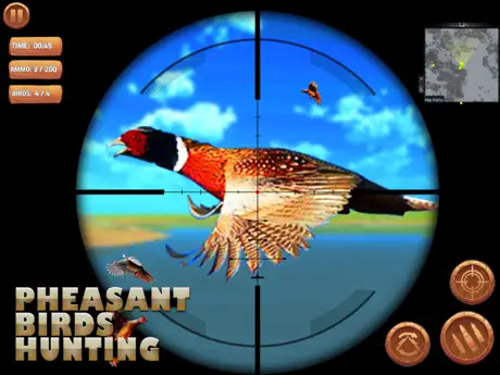 Pheasant Bird Hunting Pro