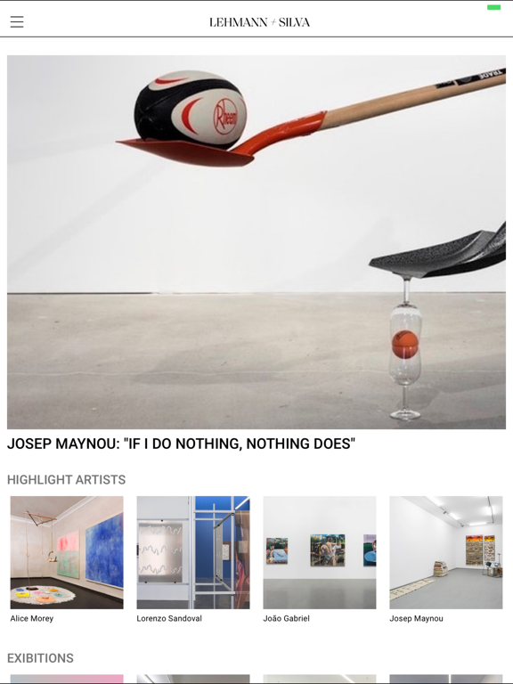 Screenshot #5 pour Lehmann Gallery