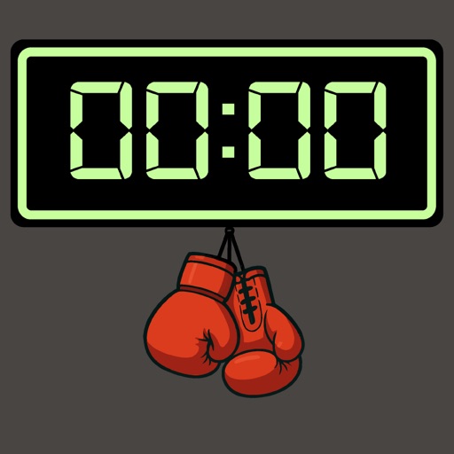 Ruel's Fight Timer