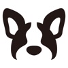 French Bulldog Life icon