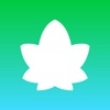 420 Singles icon