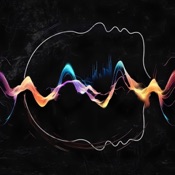 Paranormal Spirit Box