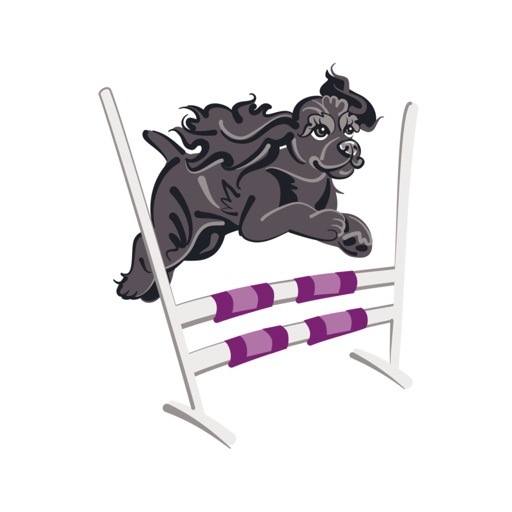 Foley’s Dog Training