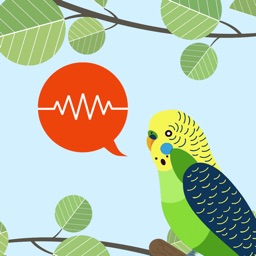 Bird Sound Australia ID