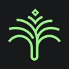 Tree Wallet icon