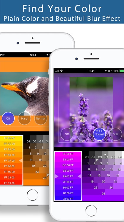 Squaready screenshot-3