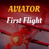 Aviator: First Flight icon