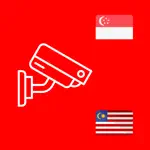 Singapore Checkpoint Cameras App Problems