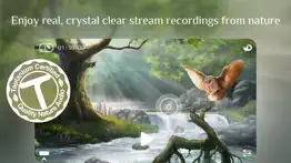 flowing 2 ~ sleep sounds relax айфон картинки 2