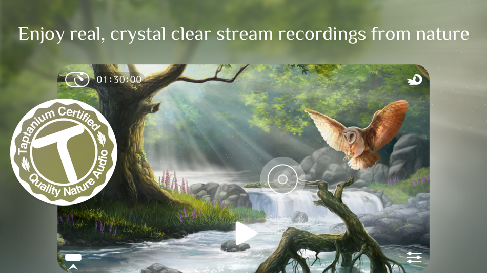 #2. Flowing 2 ~ Sleep Sounds Relax (iOS) 由: Franz Bruckhoff