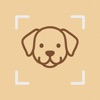 DogSnap: Dog Breed Identifier icon
