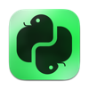 Learn Python: Coding School icon