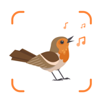 Bird Identifier Fågelsång ID на пк