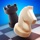 Chess Clash: Online & Offline
