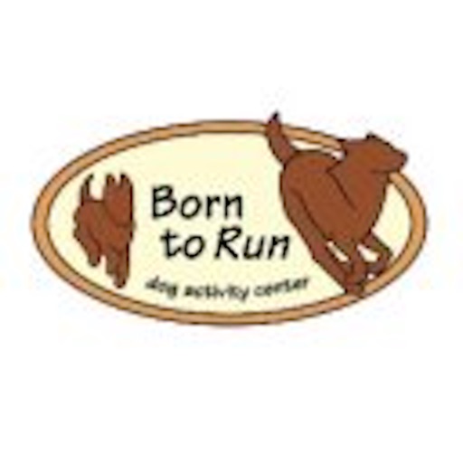 Born to Run Dogs