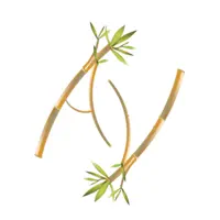Ayurveda Veggie