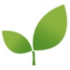 IOE Green energy icon