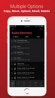 voice recorder plus pro iphone bildschirmfoto 3