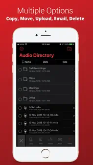 Voice Recorder Plus Pro iphone bilder 3