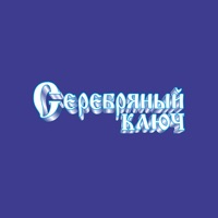 Серебряный ключ Владивосток logo