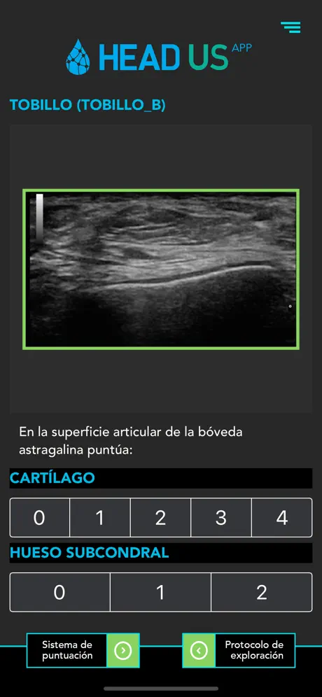 Head-Us App