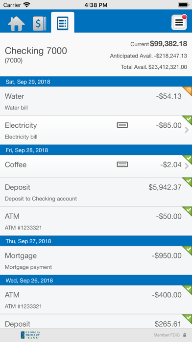 Georgia Primary Bank Business Screenshot