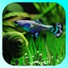 アクアプランツ〜熱帯魚と水草アクアリウムの放置育成ゲーム