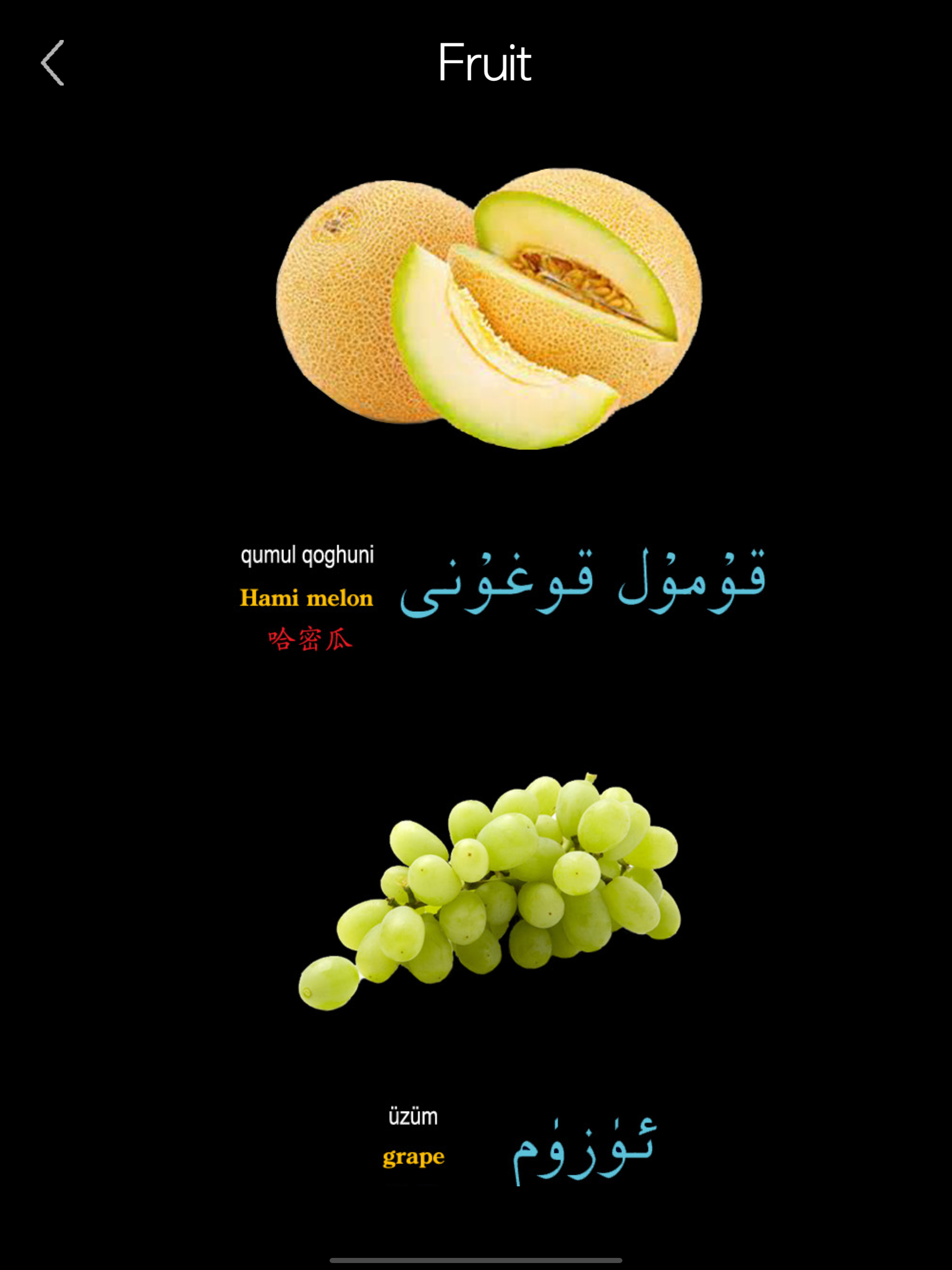 Learn Uyghur Handwriting ! screenshot 16