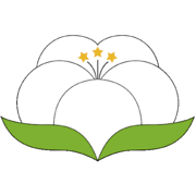 纱纤亿